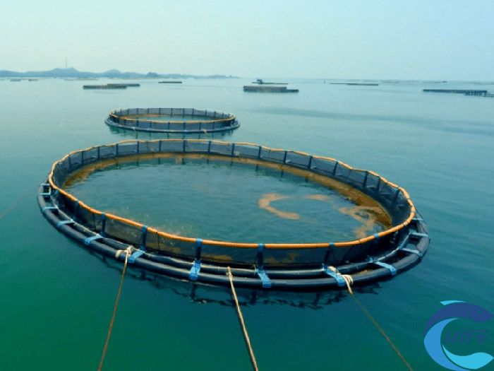 2024海南水產(chǎn)養(yǎng)殖博覽會(huì)對(duì)提升水產(chǎn)養(yǎng)殖業(yè)發(fā)展有何作用？