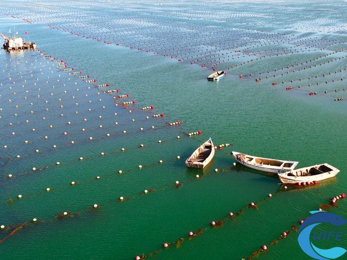 海南省在推動漁業(yè)高質量發(fā)展方面還有哪些具體措施