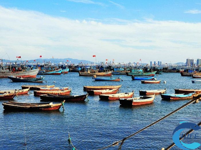 海南省休閑漁業(yè)發(fā)展規(guī)劃的具體實施計劃是什么