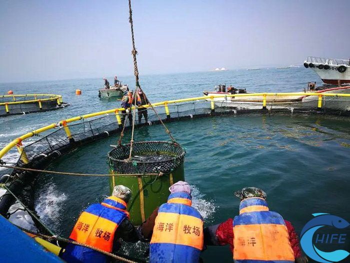 海南休閑漁業(yè)項目如何創(chuàng)造就業(yè)機會