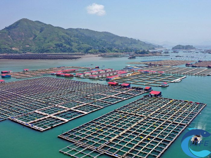 海南省關于海洋牧場的扶持政策