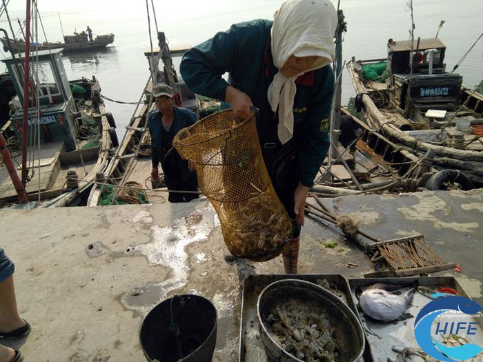 海南省漁業(yè)發(fā)展的活動和政策措施對當地經濟產生了哪些積