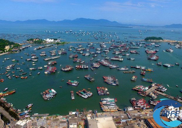 海南省漁業(yè)產業(yè)轉型升級的主要措施有哪些