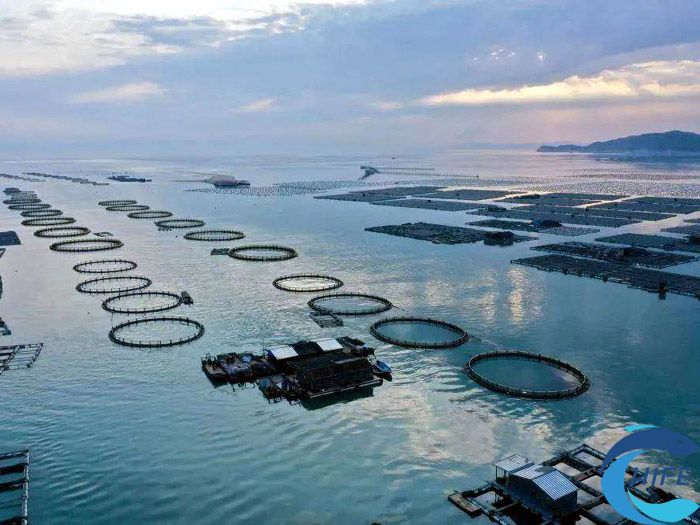 海南省如何加強漁業(yè)設施裝備的升級和優(yōu)化