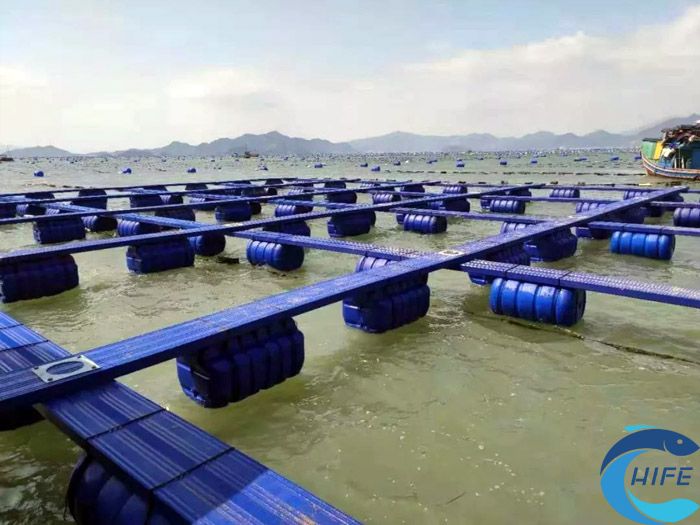 海南省漁業(yè)設施裝備的升級和優(yōu)化措施有哪些