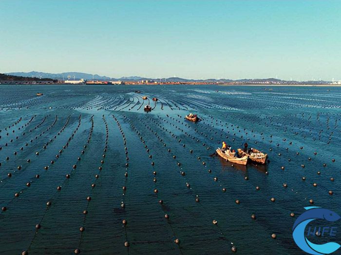海南省在深遠海養(yǎng)殖方面的技術創(chuàng)新有哪些